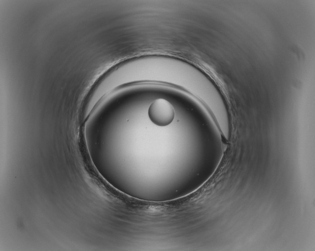 X0000111840060200908061302