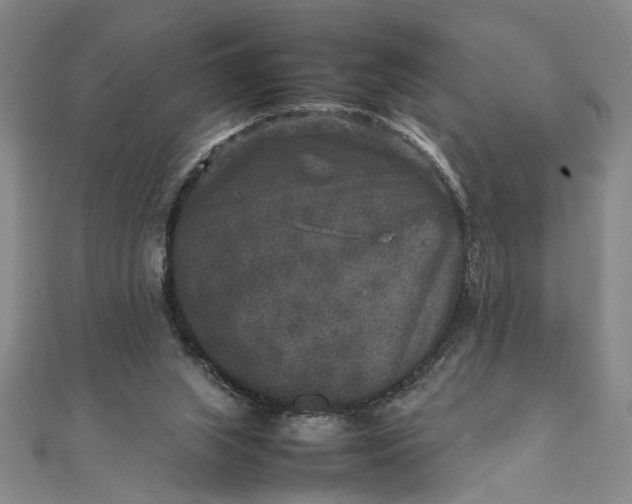 X0000111840063200908061302