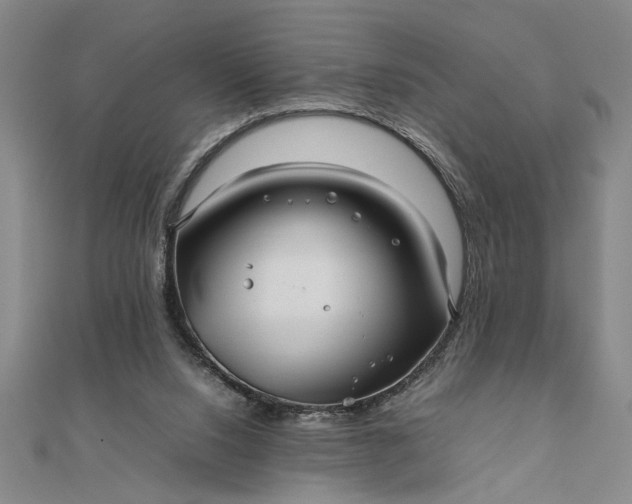 X0000111840064200908061302