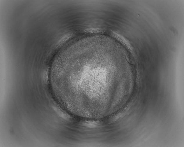 X0000111840065200908061302