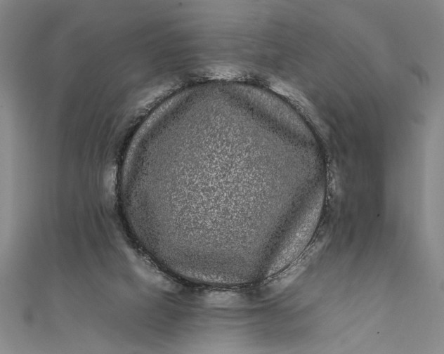 X0000111840066200908061302