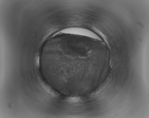 X0000111840067200908061302