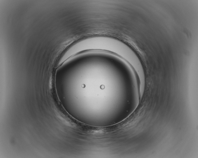 X0000111840068200908061302