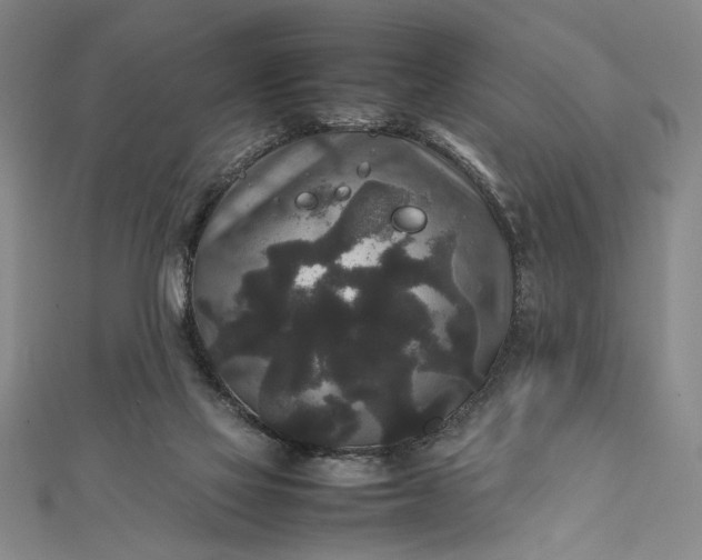 X0000111840069200908061302