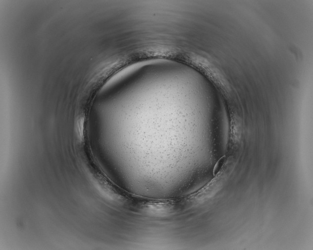 X0000111840070200908061302