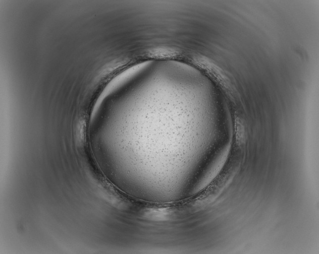 X0000111840071200908061302