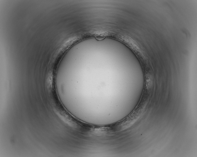 X0000111840072200908061302