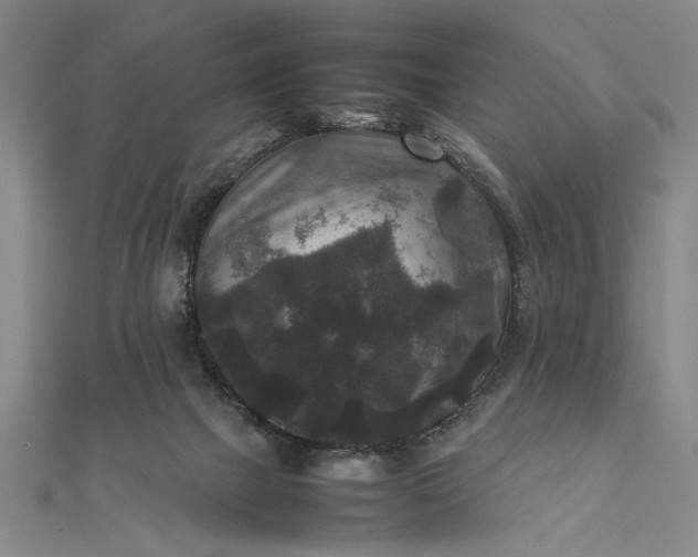 X0000111840073200908061302