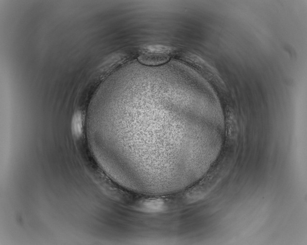 X0000111840075200908061302