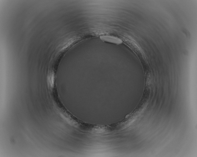 X0000111840076200908061302