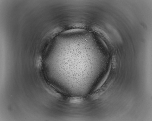 X0000111840077200908061302