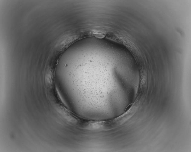 X0000111840078200908061302