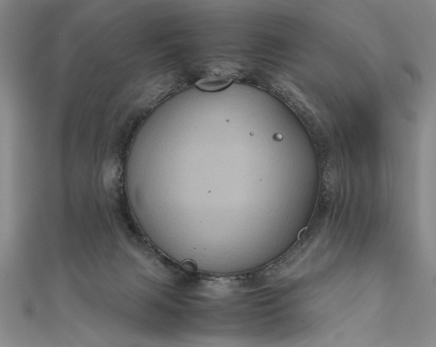 X0000111840079200908061302