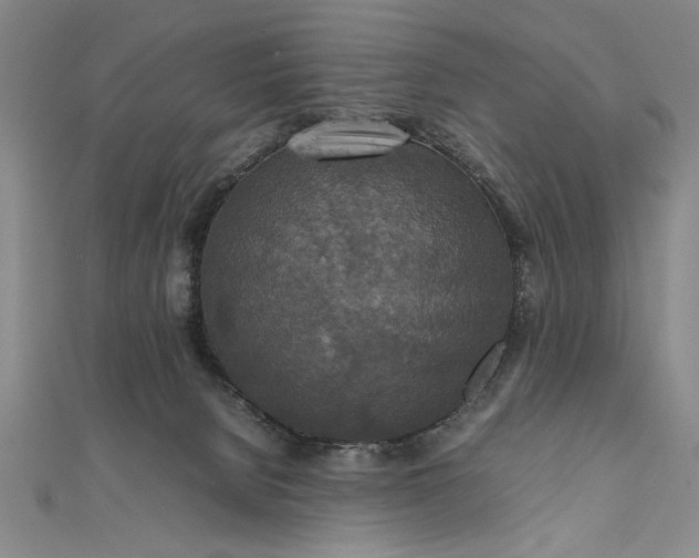 X0000111840080200908061302