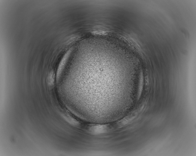 X0000111840081200908061302