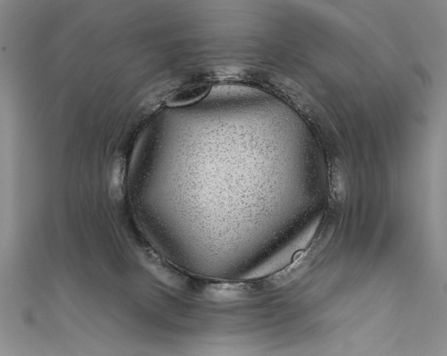 X0000111840082200908061302