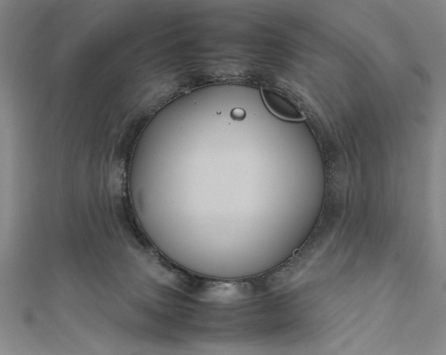 X0000111840083200908061302