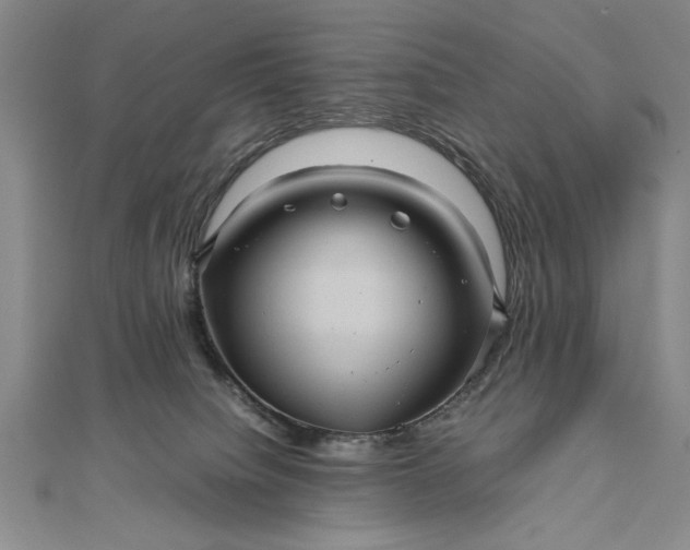 X0000111840084200908061302