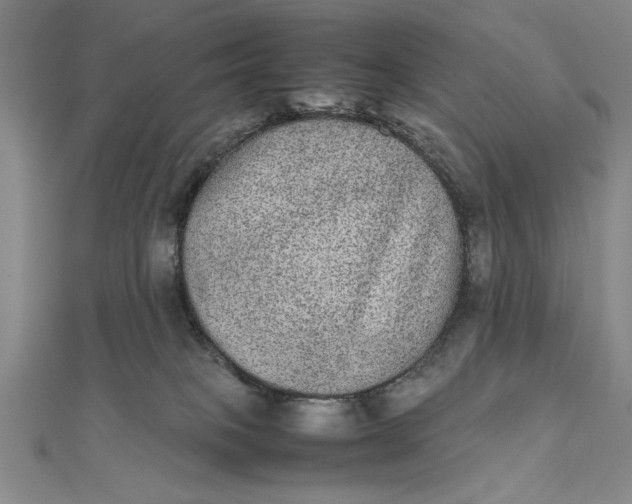 X0000111840085200908061302