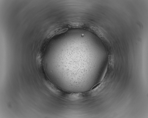 X0000111840086200908061302