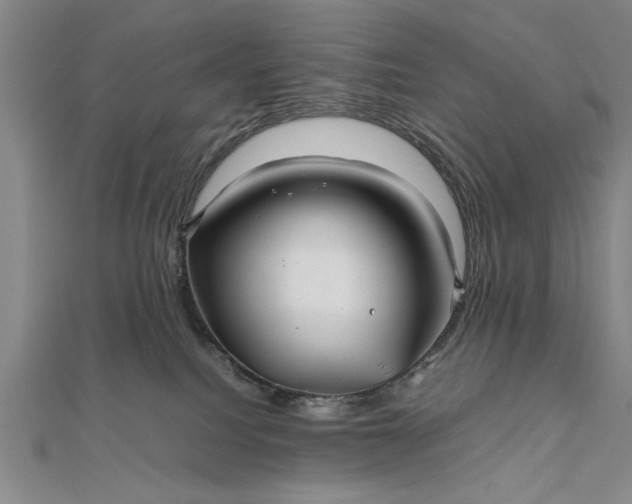 X0000111840088200908061302