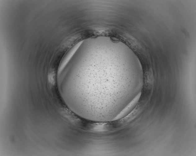 X0000111840090200908061302