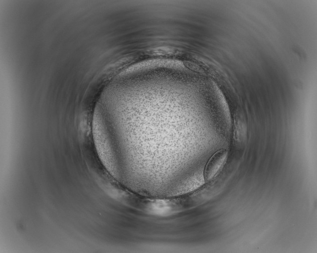 X0000111840091200908061302