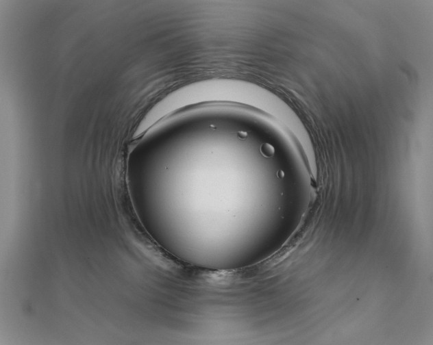 X0000111840092200908061302