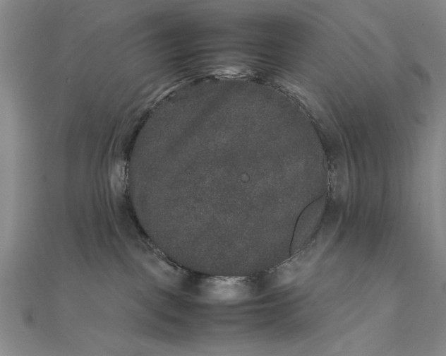 X0000111840093200908061302