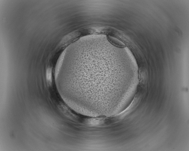 X0000111840094200908061302