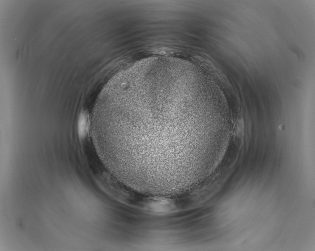 X0000111840095200908061302