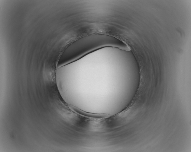 X0000111840096200908061302