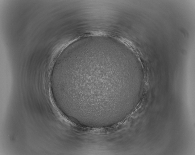 X0000111840097200908061302