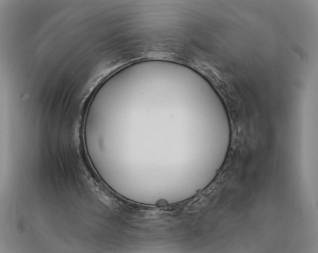 X0000111840098200908061302