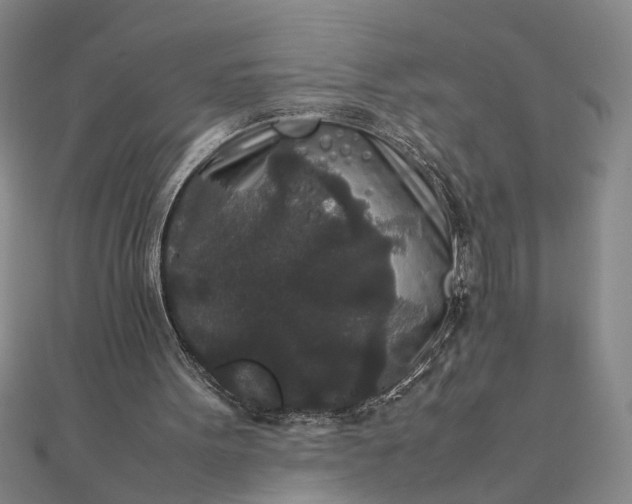 X0000111840099200908061302