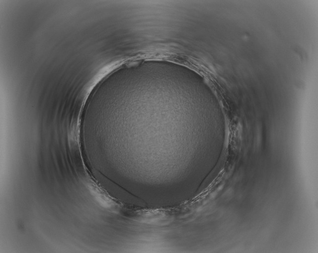 X0000111840100200908061302