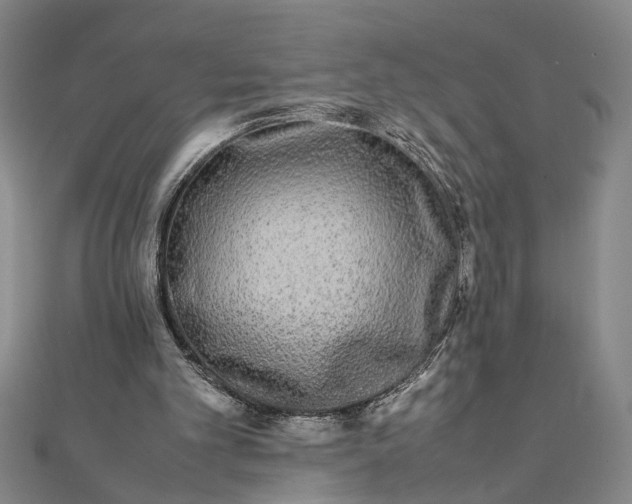 X0000111840101200908061302