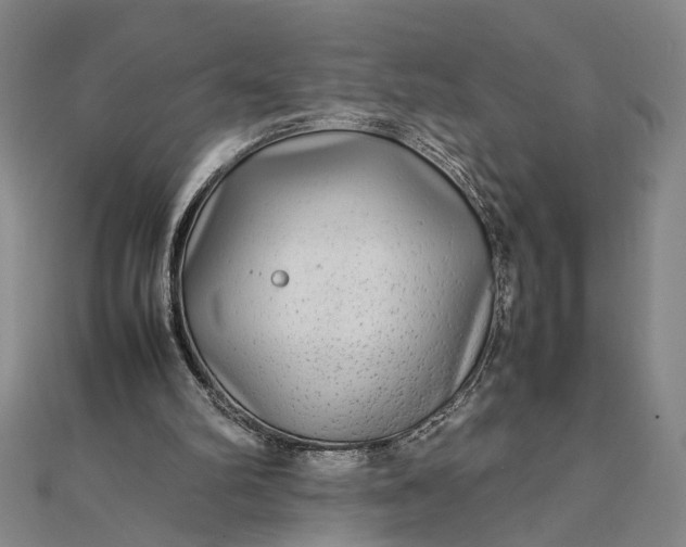 X0000111840102200908061302