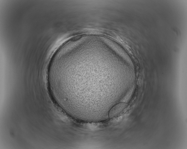 X0000111840103200908061302