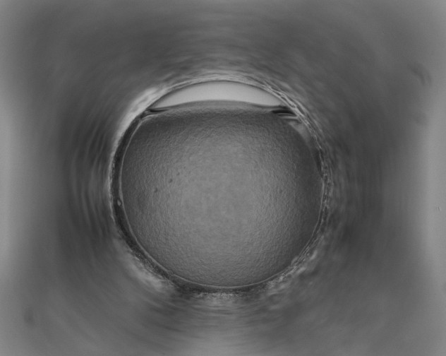 X0000111840104200908061302