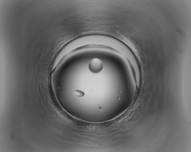 X0000111840105200908061302