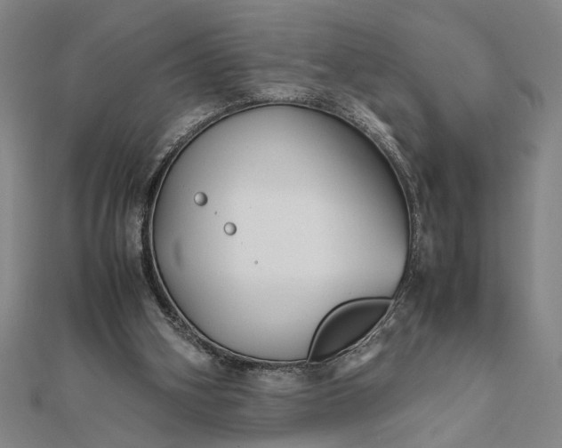 X0000111840106200908061302