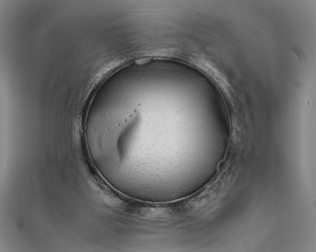 X0000111840107200908061302