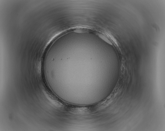 X0000111840108200908061302