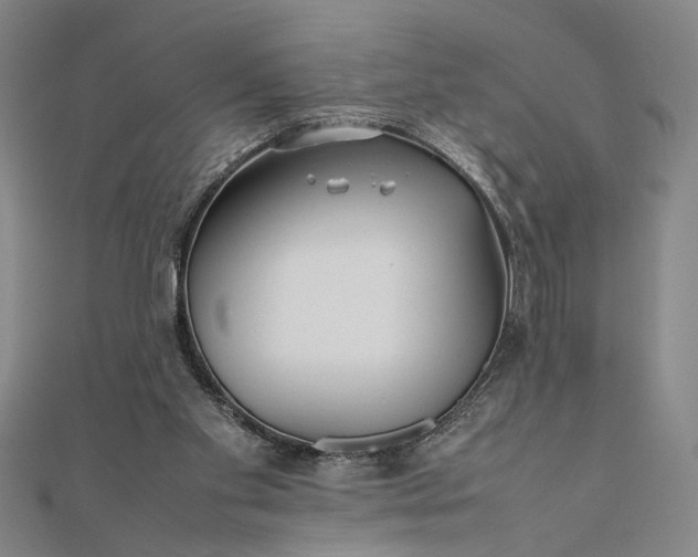 X0000111840109200908061302