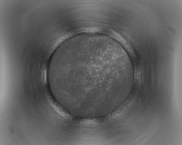 X0000111840110200908061302