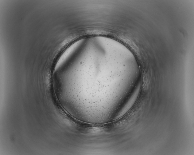 X0000111840111200908061302