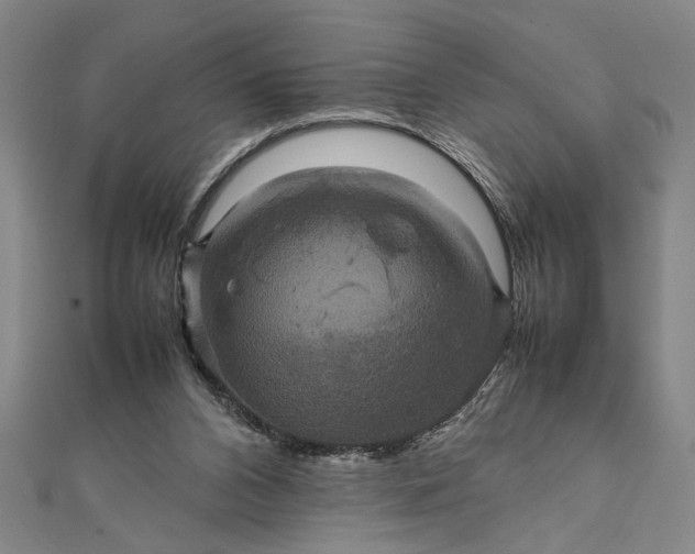 X0000111840112200908061302