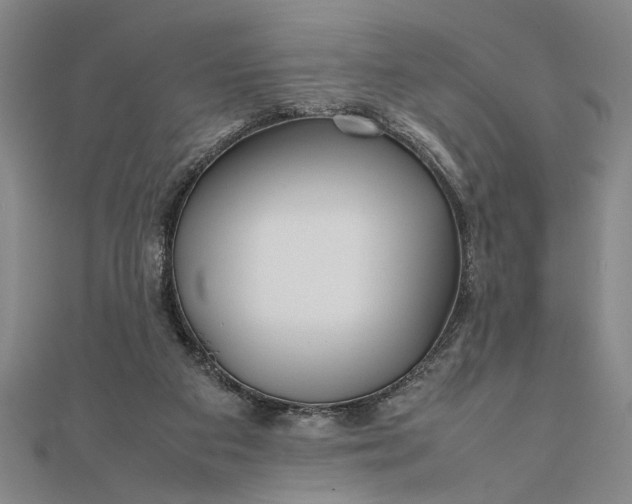 X0000111840113200908061302