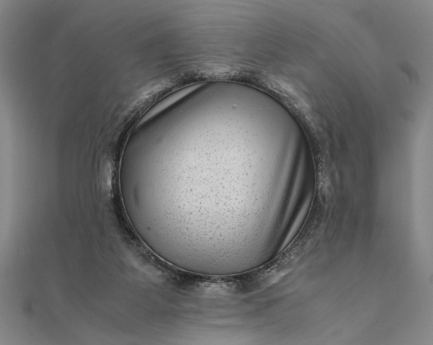 X0000111840115200908061302